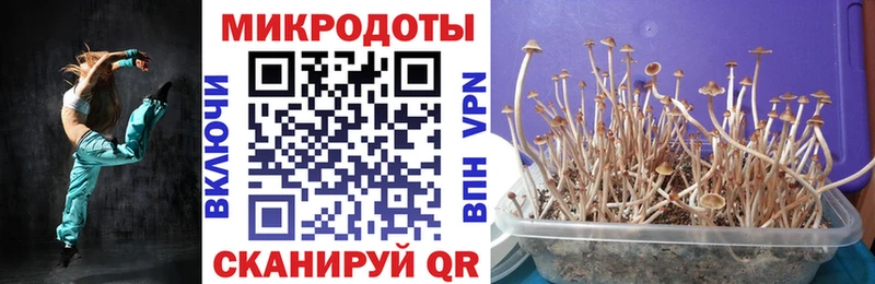 Псилоцибиновые грибы MAGIC MUSHROOMS  Цивильск 